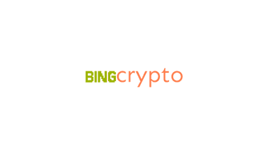 bingcrypto.com